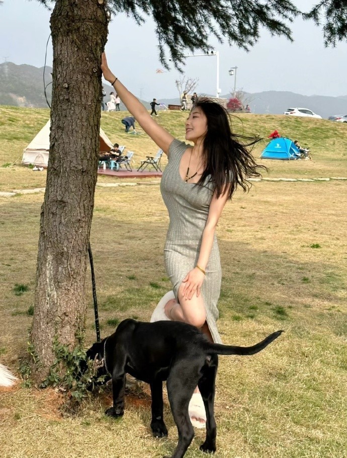 肖申克的救赎 封面
